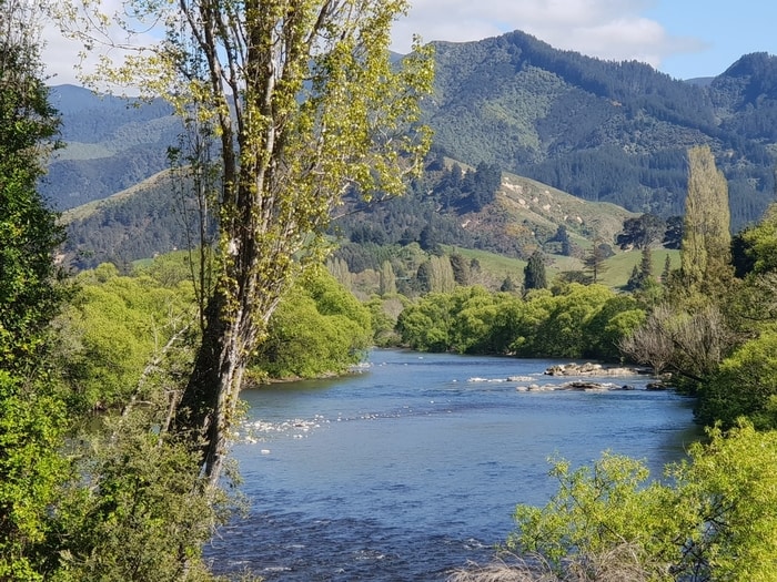 Motueka River Valley