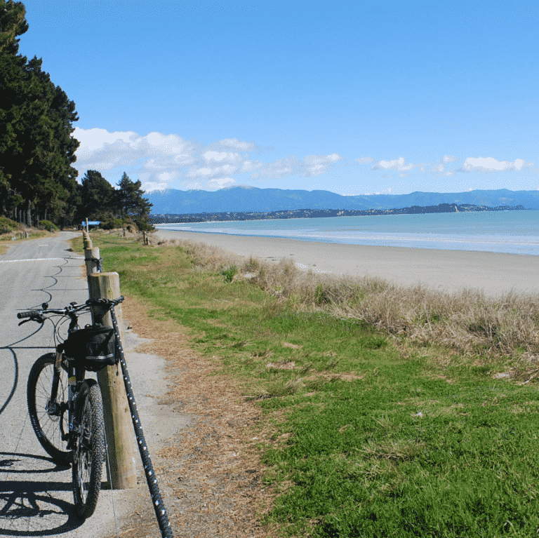 Wheelie Fantastic Cycle Tours Bike by rabbit island