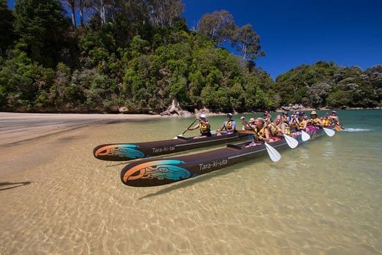 Explore the pristine coastline with Waka Abel tasman | Biking Tours with Children